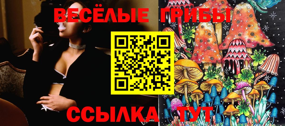 наркошоп  Галлюциногенные грибы Psilocybine cubensis  Псилоцибиновые грибы Magic Shrooms  Вход с VPN  Кириши 